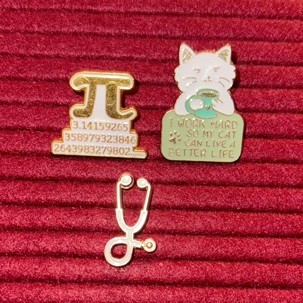 New- Cute Enamel Pin Set with Cat and Pi Design and a stethoscope